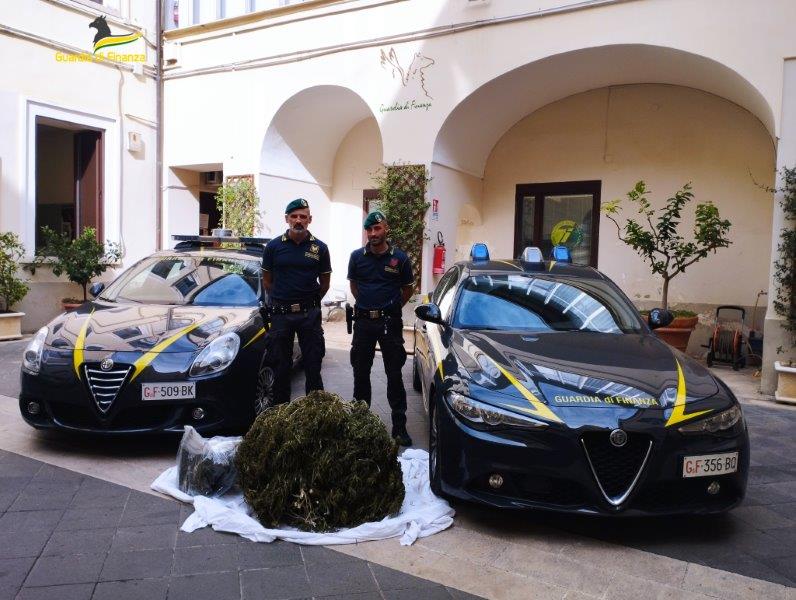 Capuaonline GUARDIA DI FINANZA CASERTA SEQUESTRATI OLTRE 45 KG