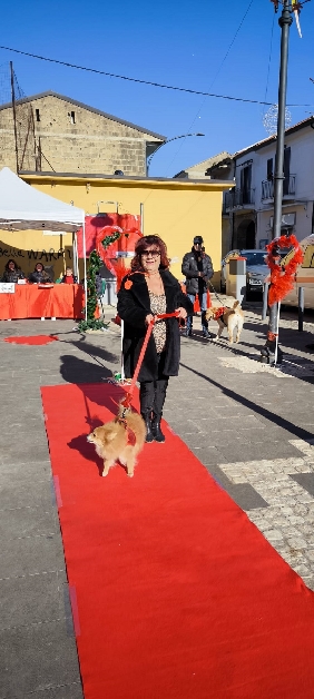 assessore Teresa Forgillo con cane